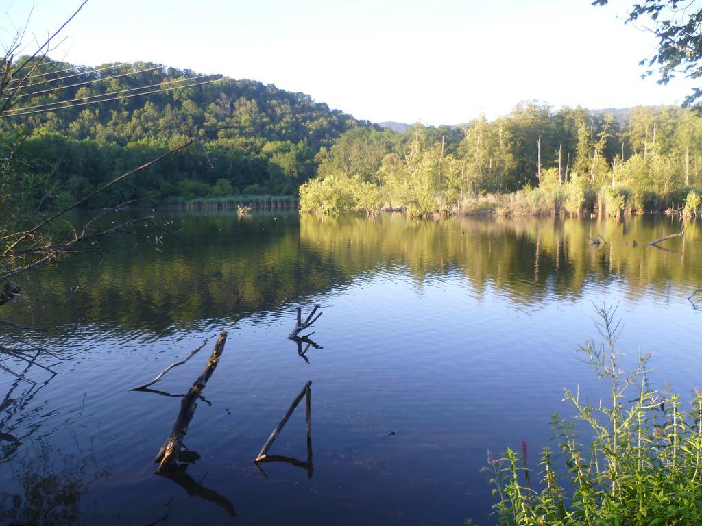 Apartmán Storchennest Bad Säckingen Exteriér fotografie