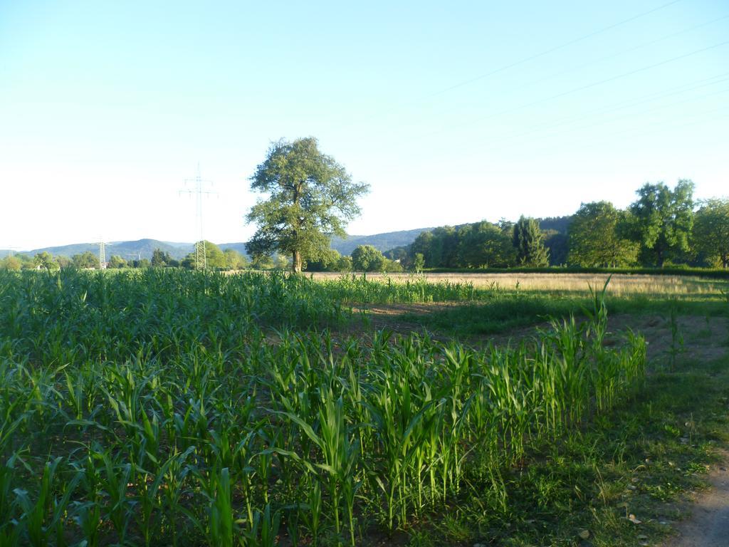 Apartmán Storchennest Bad Säckingen Exteriér fotografie