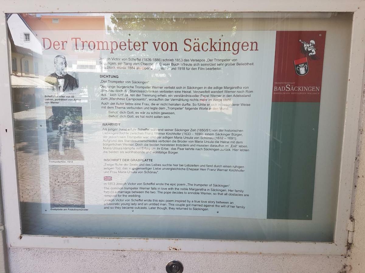 Apartmán Storchennest Bad Säckingen Exteriér fotografie