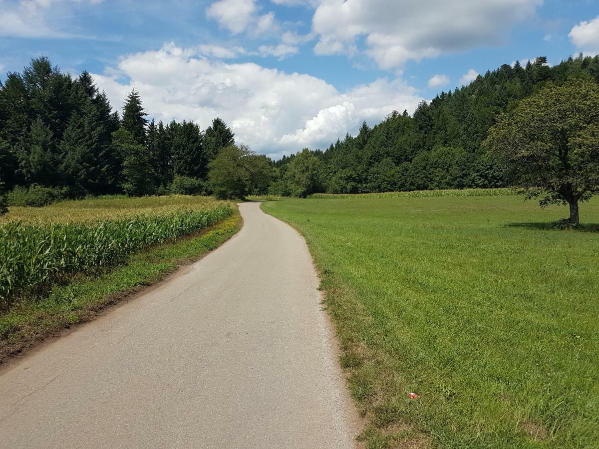 Apartmán Storchennest Bad Säckingen Exteriér fotografie