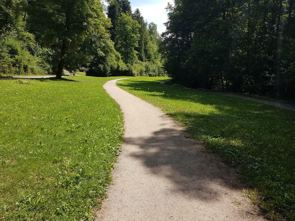 Apartmán Storchennest Bad Säckingen Exteriér fotografie